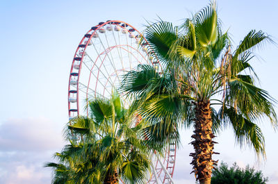 Low angle view of ferris wheel against sky