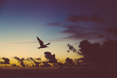 View of sky at sunset