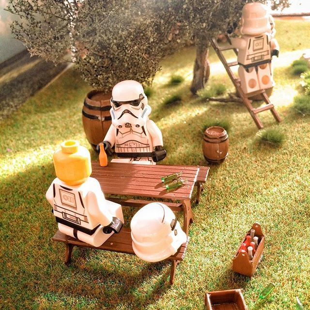 grass, chair, table, absence, sitting, field, relaxation, sunlight, front or back yard, bench, day, lawn, empty, high angle view, outdoors, seat, grassy, park - man made space, tree, nature