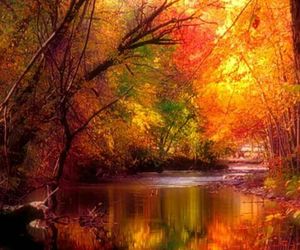 Reflection of trees in lake