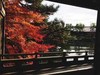 Trees by footbridge against sky during autumn