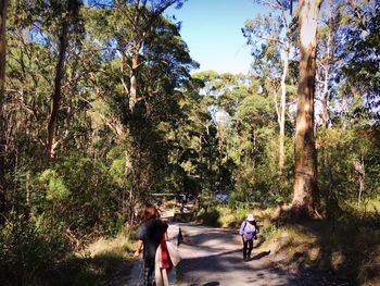 People walking on road in forest