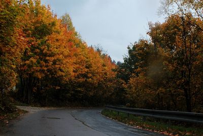 Road passing through forest