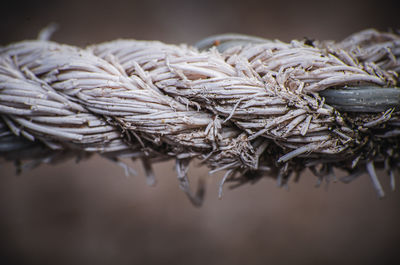 Characteristics of a nylon rope when being outdoors for a long time, close up.