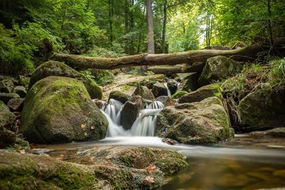 Scenic view of waterfall in forest