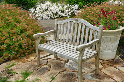 Empty bench in garden