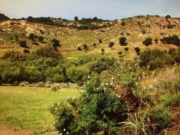 View of rural landscape