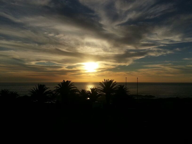 sunset, sea, horizon over water, sky, scenics, tranquil scene, beauty in nature, beach, tranquility, palm tree, water, orange color, silhouette, sun, idyllic, nature, cloud - sky, shore, cloud, dramatic sky