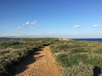 Narrow pathway along landscape