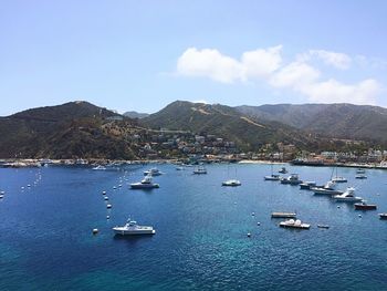 Boats in harbor