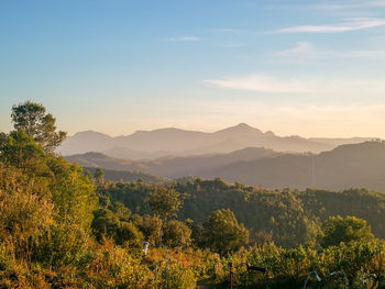 Scenic view of trees and mountains against sky