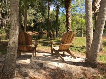 Empty bench in park