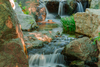 Scenic view of waterfall in forest