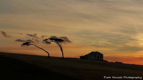 Scenic view of landscape at sunset