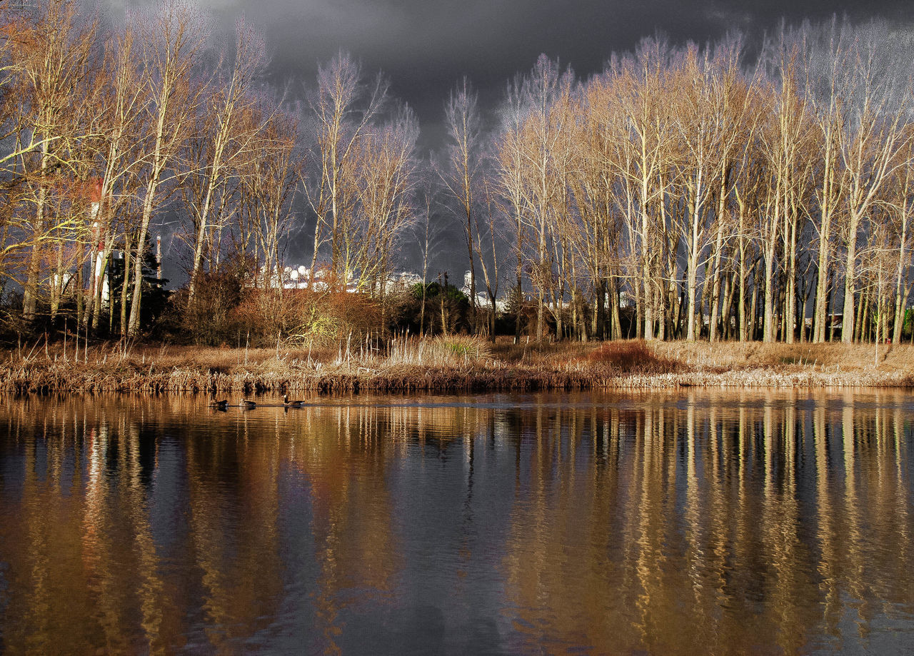 Frigid landscape