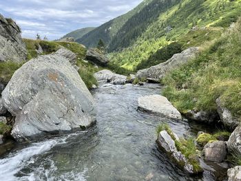 beauty in nature