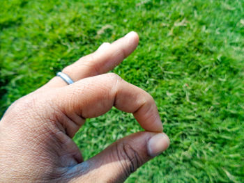 Close-up of hand holding grass