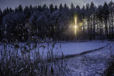 Scenic view of lake in forest during winter