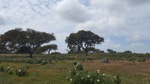 Scenic view of grassy field against cloudy sky