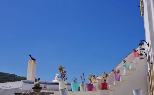 Low angle view of flags against building against clear blue sky