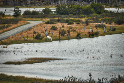 Scenic view of lake and trees