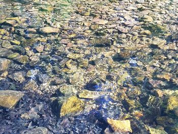 Full frame shot of pebbles in water