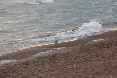 Waves splashing on shore