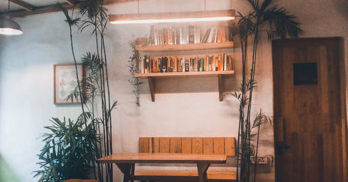 Potted plant on table by window in house