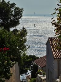 High angle view of trees by sea against sky