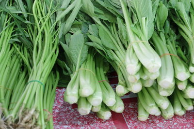 Bok choys at market for sale