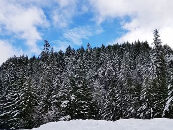 Snow covered landscape against sky