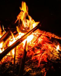 Close-up of bonfire at night