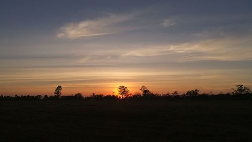 Silhouette trees on field against sky during sunset