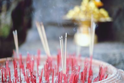 Close-up of incenses burning in temple