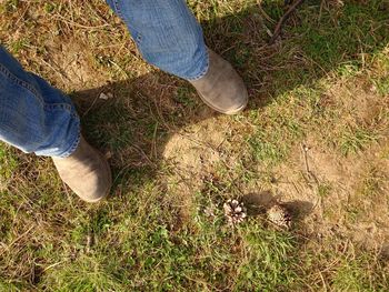 Low section of person standing on field