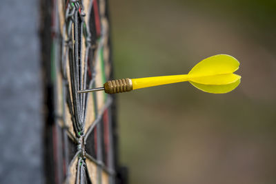 Close-up of dart on board