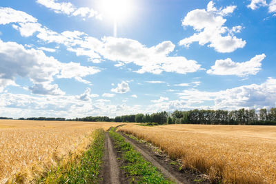 Scenic view of agricultural field against sky