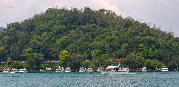 Scenic view of river by trees against sky