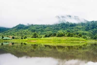 Scenic view of lake by trees against sky