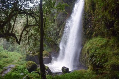 Scenic waterfall in the aberdare ranges, kenya