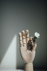 Close-up of hand holding white flowers on table