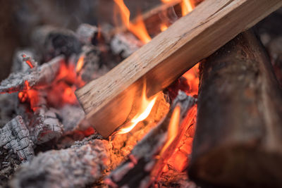 Close-up of bonfire on wood