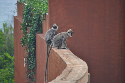 Family sitting on wood