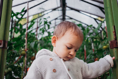 Portrait of cute baby boy