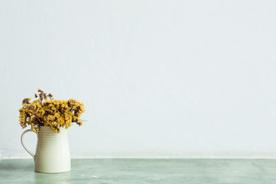 Close-up of vase on table against white background