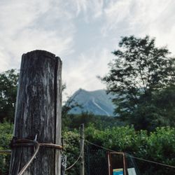 Wooden fence by trees on mountain against sky