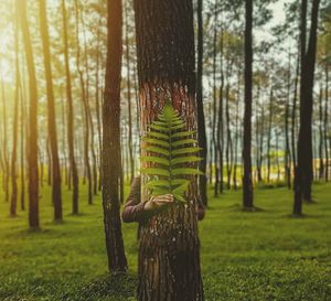 Trees growing in forest