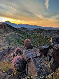 Scenic view of landscape against sky during sunset