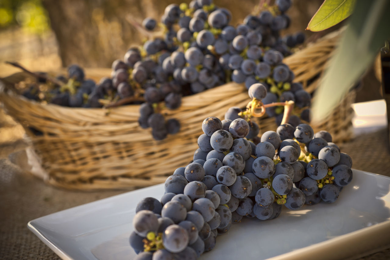 Cabernet grapes