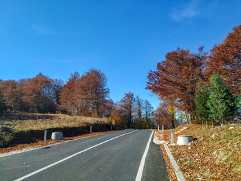 Road amidst trees during autumn against blue sky
